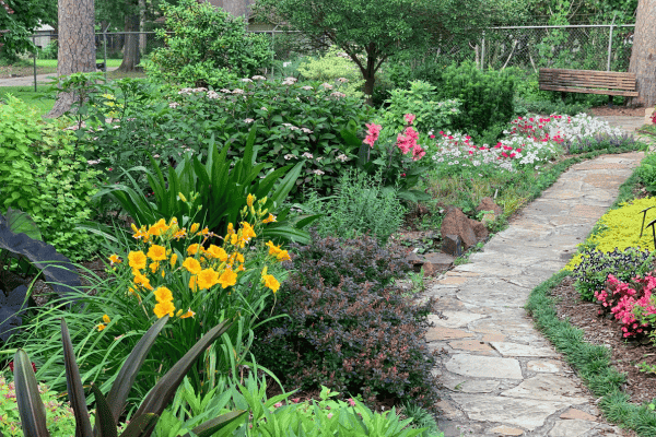 10 examples of perennial plants